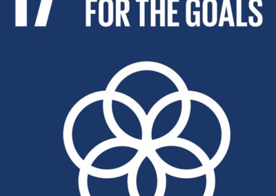 SDG 17 Partnerships for the goals